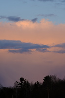 DSCF3310