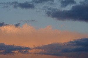 DSCF3311