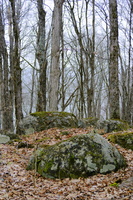DSCF3382 01