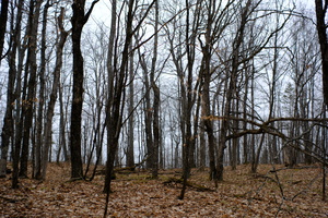 DSCF3388