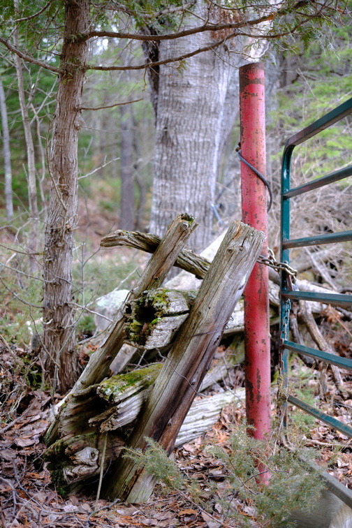 DSCF3454.JPG