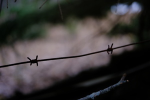 DSCF3461