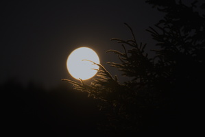 DSCF3581