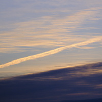 DSCF3598