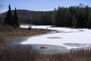 A marsh near Barry's Bay
