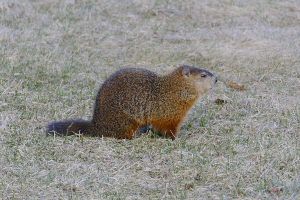DSCF3720.jpg