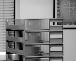DSCF0155