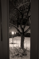 DSCF0216