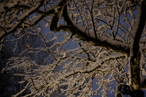 DSCF0231