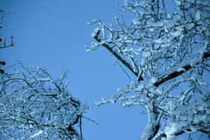 DSCF0237 01