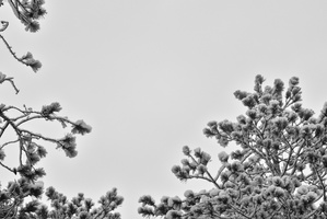 DSCF0267 01