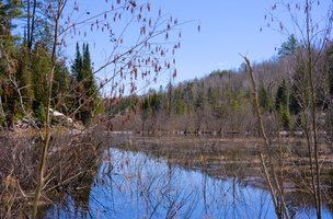 DSCF0364