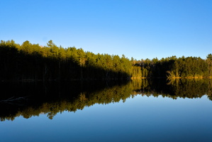 DSCF0478 01