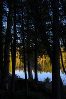 DSCF0434