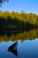 DSCF0464