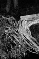 DSCF0493