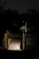 DSCF0776 01
