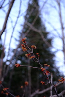 DSCF0824