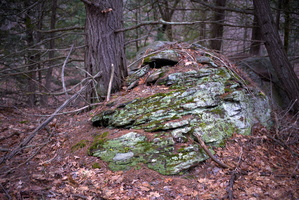 DSCF0877 01