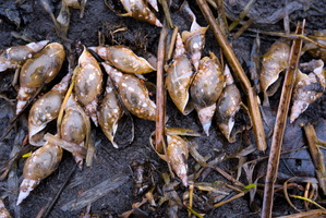 DSCF0860