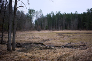 DSCF0856
