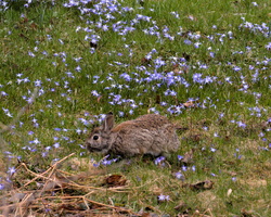 DSCF0882