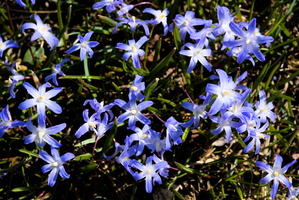 DSCF0899