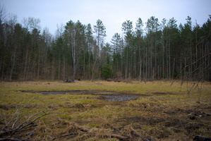 DSCF1647