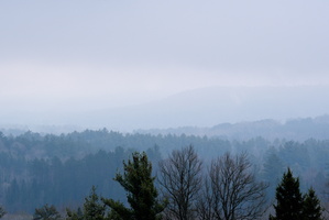 DSCF1678