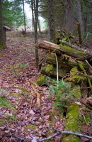 DSCF1705
