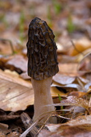 DSCF2060