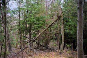 DSCF2049