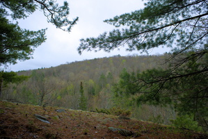 DSCF2009