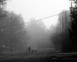 DSCF2154