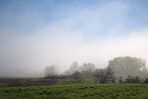 DSCF2146