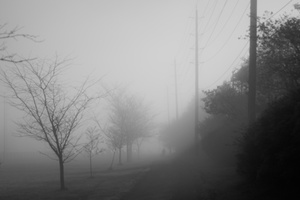 DSCF2107