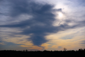 DSCF2248