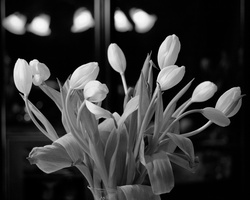 DSCF2405