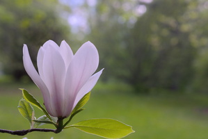 DSCF2501