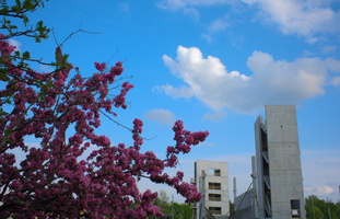DSCF2635