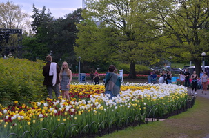 DSCF2628 01