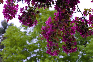 DSCF2644 03