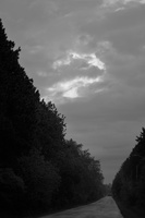 DSCF2732