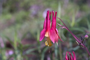 DSCF2759