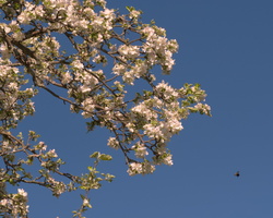 DSCF2781 01
