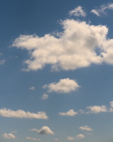 DSCF2799