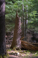 DSCF2843