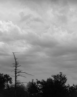 DSCF2868