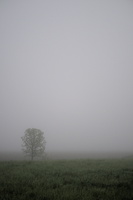 DSCF2934