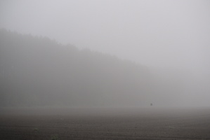 DSCF2973 01